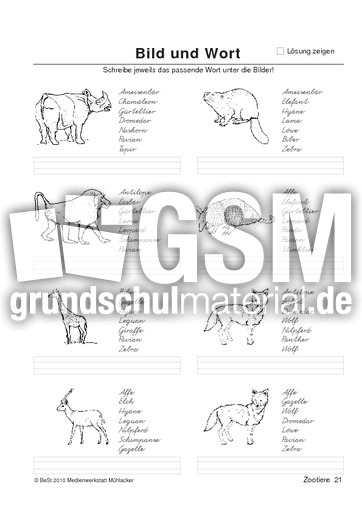 BuW Zootiere21.pdf